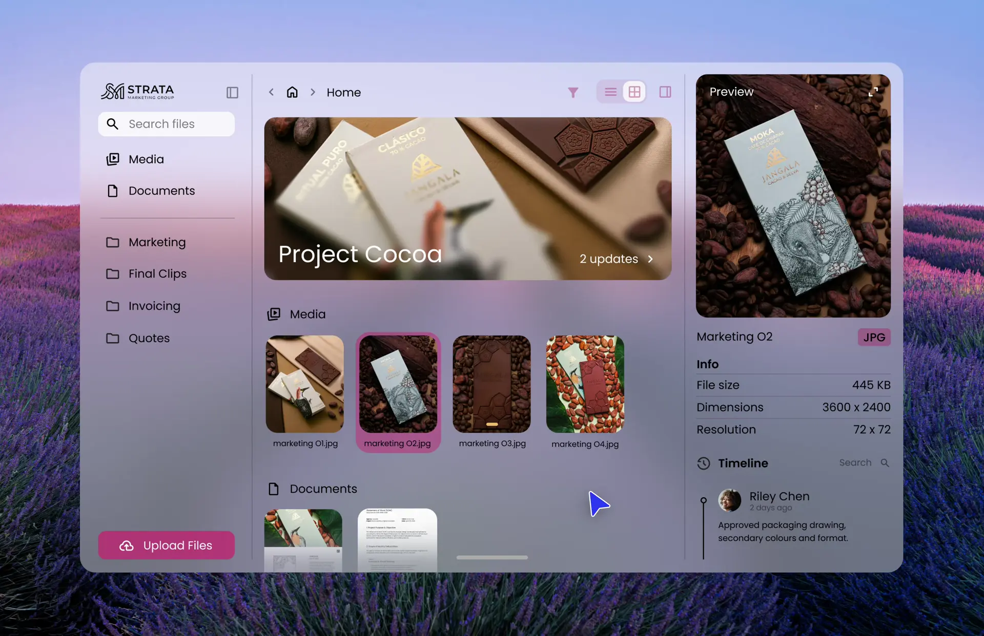 Data and files workflow — start